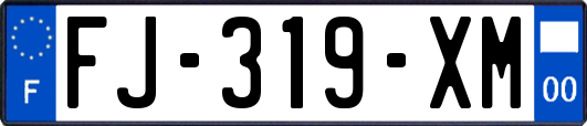 FJ-319-XM