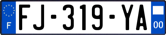 FJ-319-YA