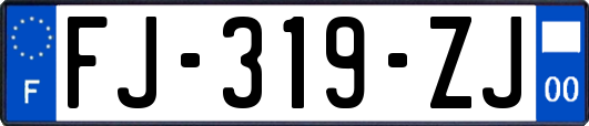 FJ-319-ZJ