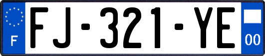 FJ-321-YE