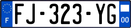 FJ-323-YG