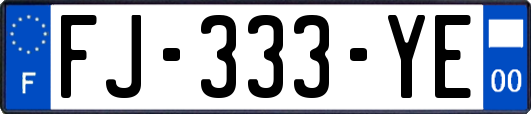 FJ-333-YE