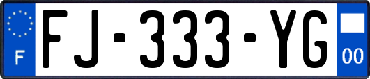 FJ-333-YG