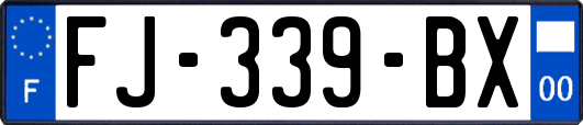 FJ-339-BX