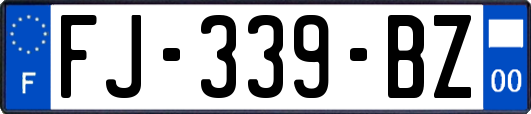 FJ-339-BZ