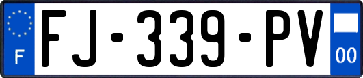 FJ-339-PV