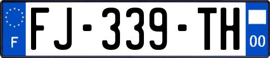 FJ-339-TH