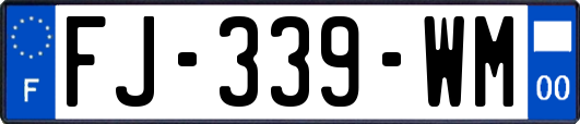 FJ-339-WM