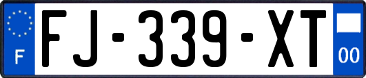 FJ-339-XT