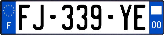 FJ-339-YE