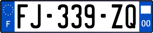 FJ-339-ZQ