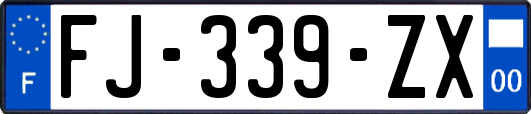 FJ-339-ZX