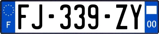 FJ-339-ZY