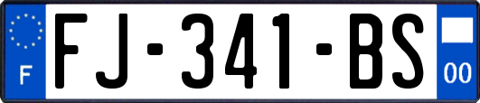 FJ-341-BS