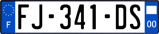 FJ-341-DS