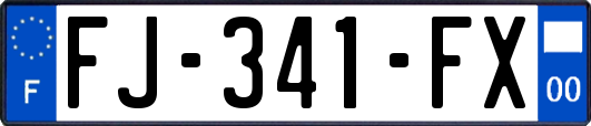 FJ-341-FX