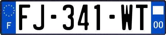 FJ-341-WT