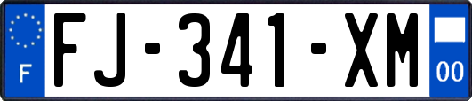 FJ-341-XM
