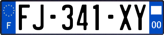 FJ-341-XY