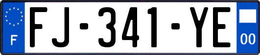 FJ-341-YE