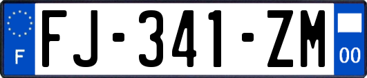 FJ-341-ZM