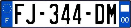 FJ-344-DM