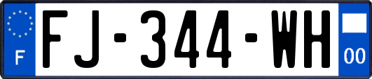 FJ-344-WH