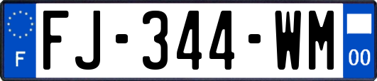 FJ-344-WM