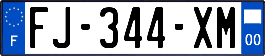 FJ-344-XM