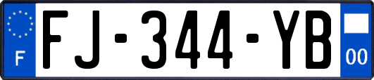 FJ-344-YB