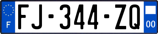 FJ-344-ZQ