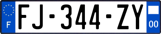 FJ-344-ZY