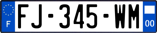 FJ-345-WM