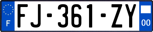 FJ-361-ZY