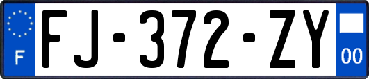 FJ-372-ZY