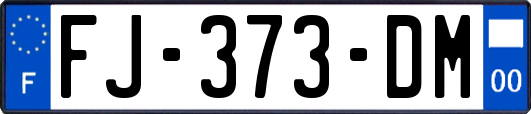 FJ-373-DM