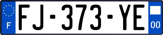 FJ-373-YE