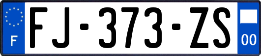 FJ-373-ZS