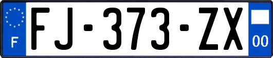 FJ-373-ZX