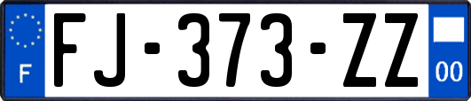 FJ-373-ZZ