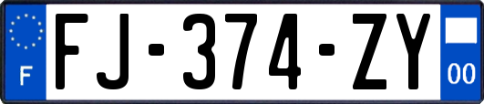 FJ-374-ZY