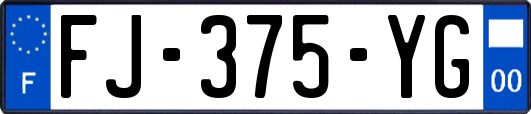 FJ-375-YG