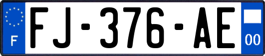 FJ-376-AE