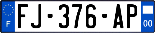 FJ-376-AP