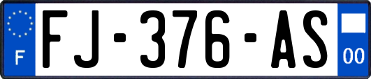 FJ-376-AS