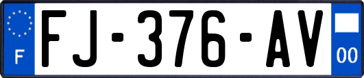 FJ-376-AV