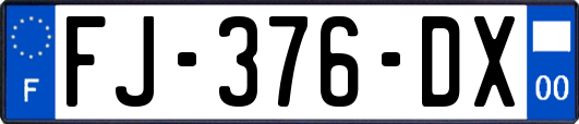 FJ-376-DX