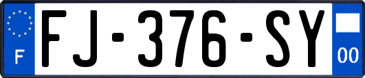 FJ-376-SY
