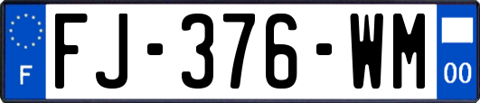 FJ-376-WM