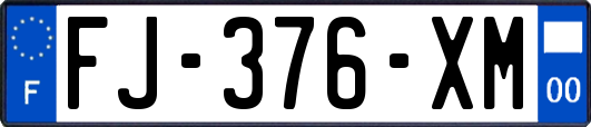 FJ-376-XM